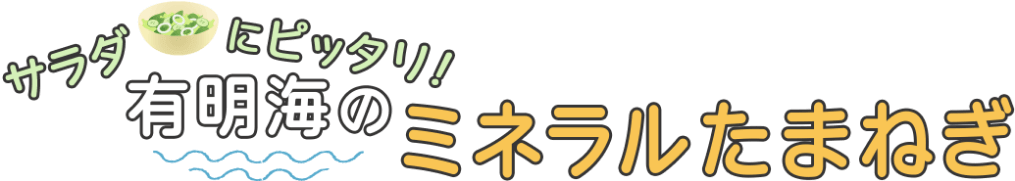 りんふぁーむの赤玉ねぎ
